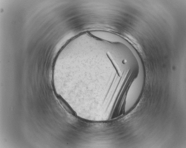 X0000088831188200707051414