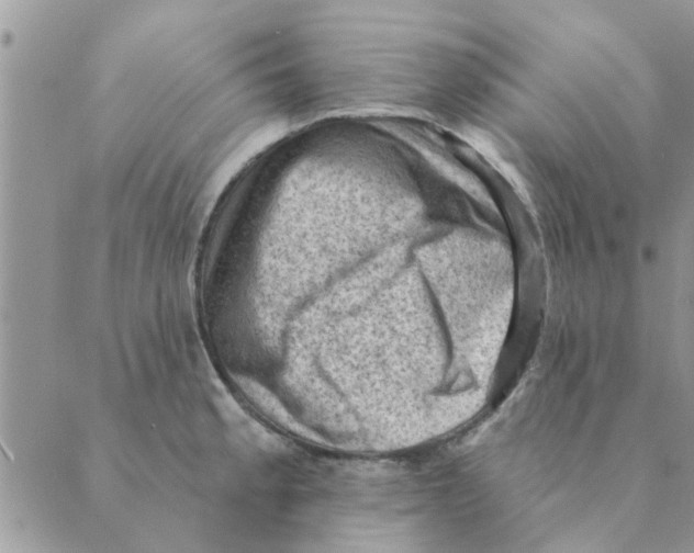 X0000088831189200707051414