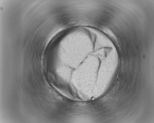 X0000088831190200707051414