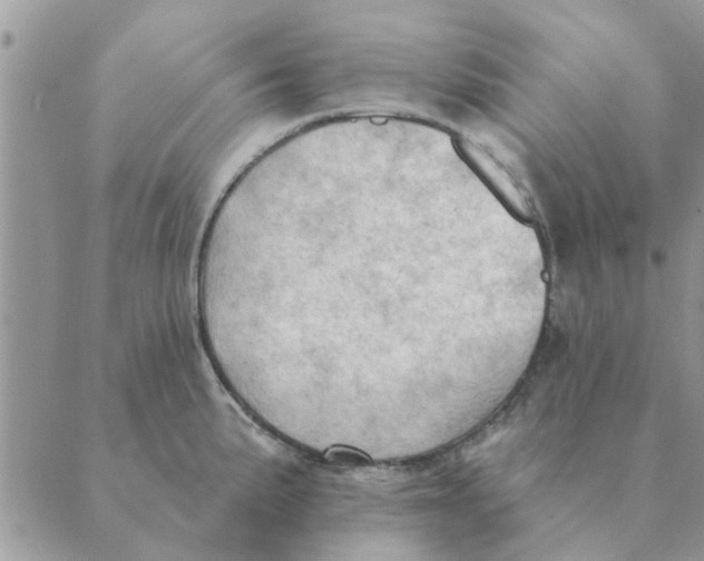 X0000088831191200707051414