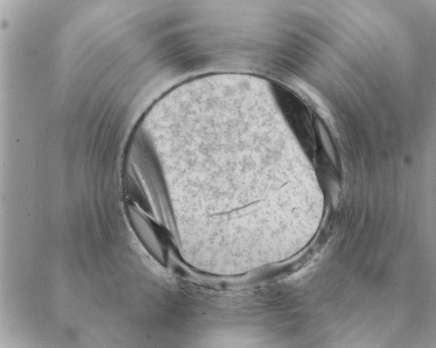 X0000088831192200707051414