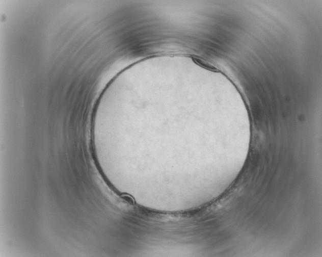 X0000088831195200707051414