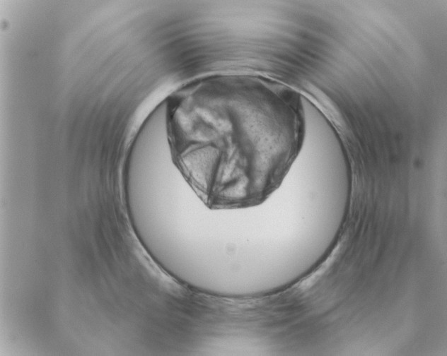 X0000088831196200707051414