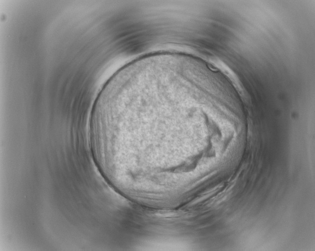 X0000088831199200707051414