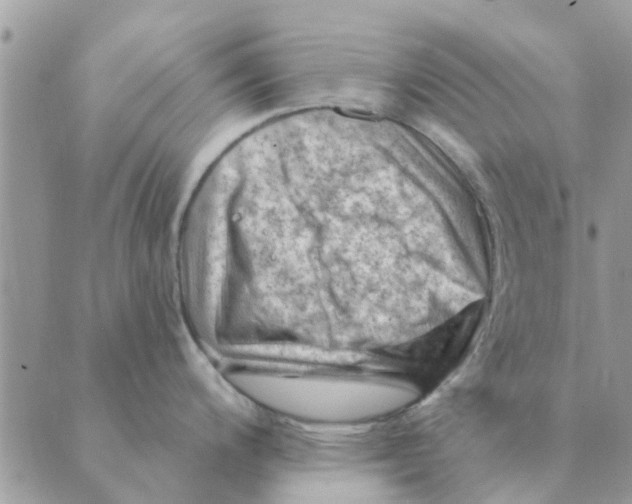 X0000088831200200707051414