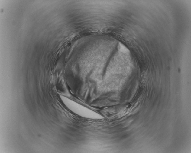 X0000088831202200707051413