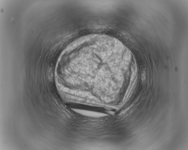 X0000088831204200707051413