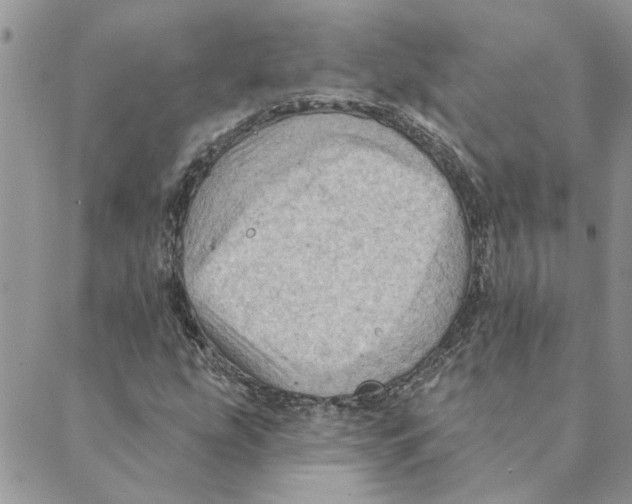 X0000088831207200707051413