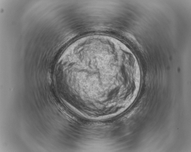 X0000088831209200707051413