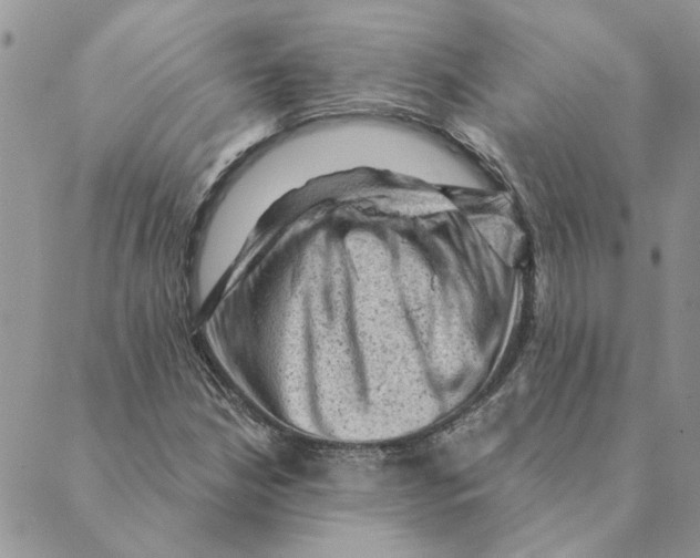 X0000088831210200707051413