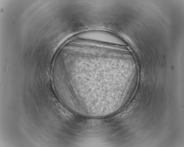 X0000088831212200707051414