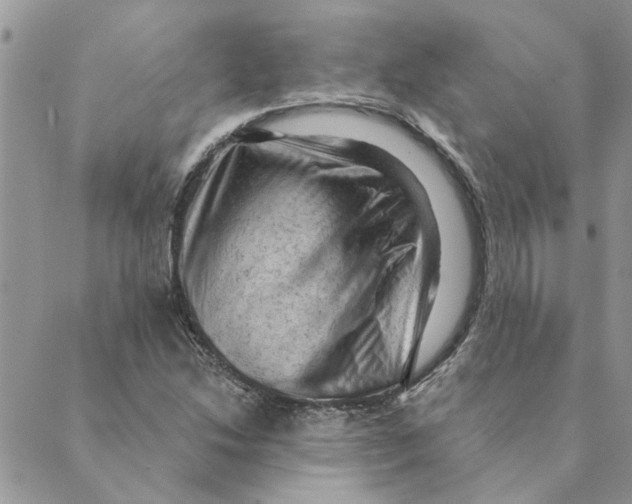 X0000088831214200707051414