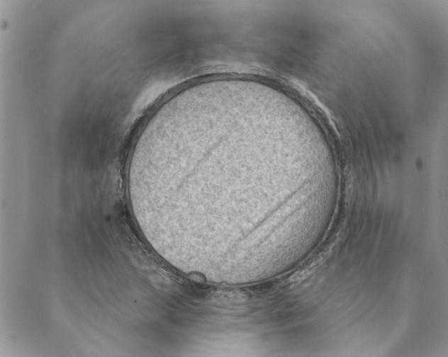 X0000088831215200707051414