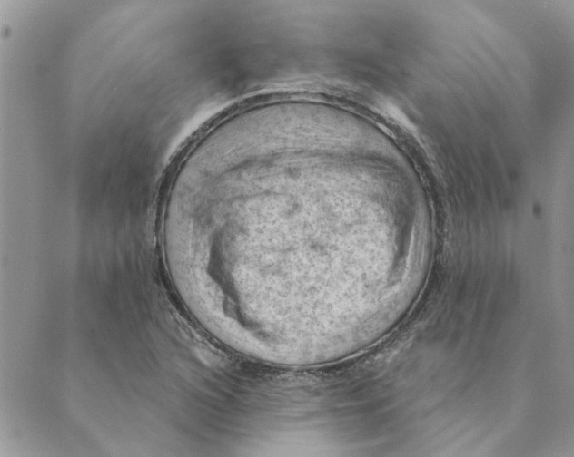 X0000088831216200707051414