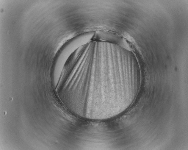 X0000088831218200707051414