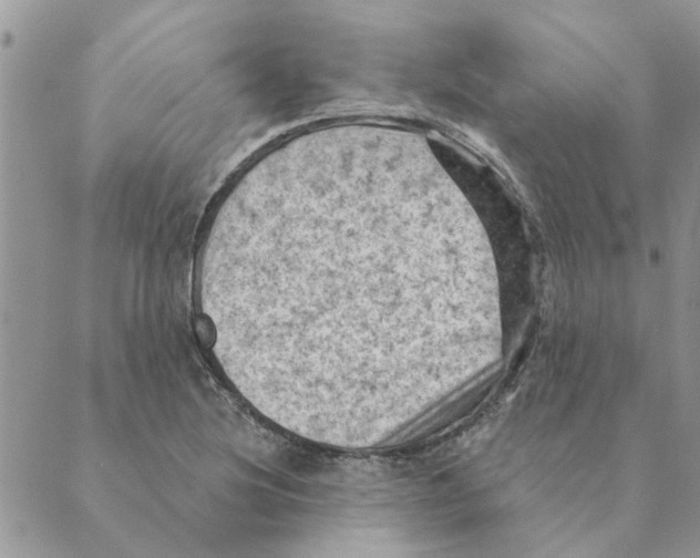 X0000088831220200707051414