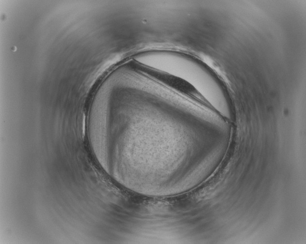 X0000088831221200707051414