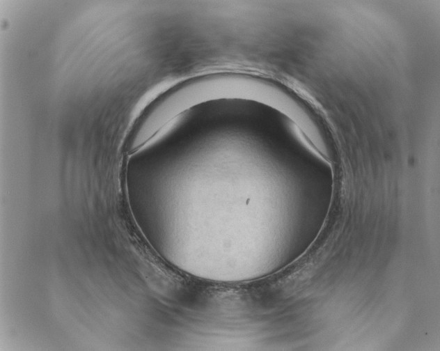 X0000088831222200707051414