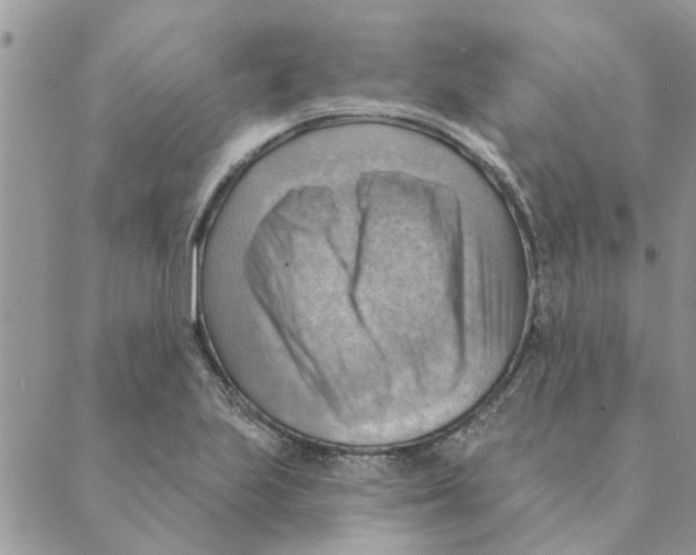 X0000088831223200707051414