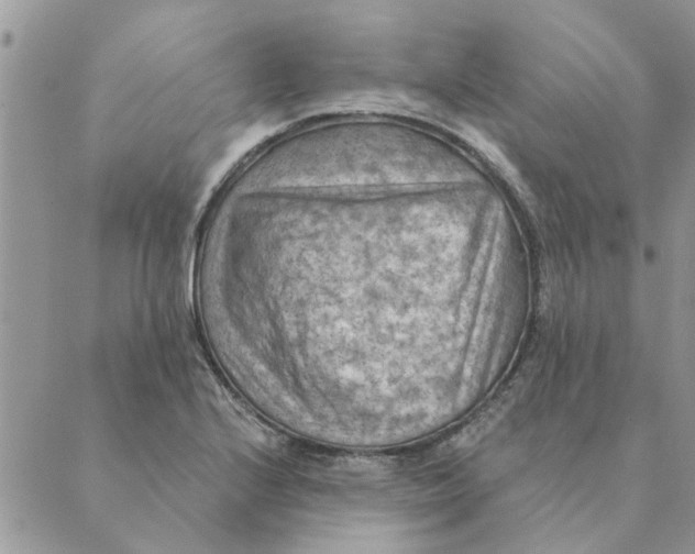 X0000088831224200707051414