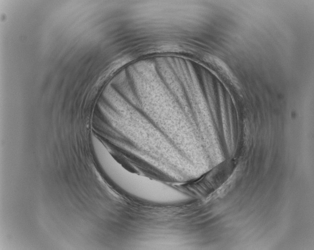 X0000088831225200707051414