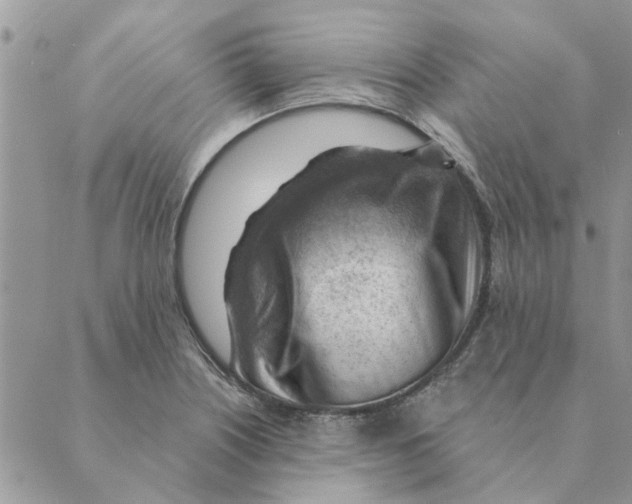 X0000088831226200707051414