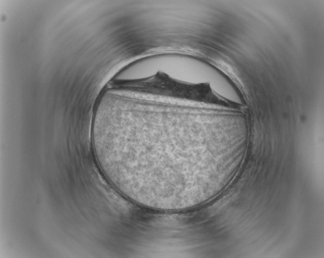 X0000088831228200707051414