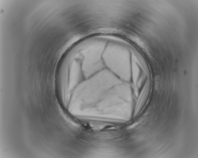 X0000088831229200707051414