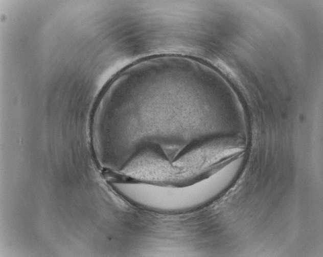 X0000088831230200707051414