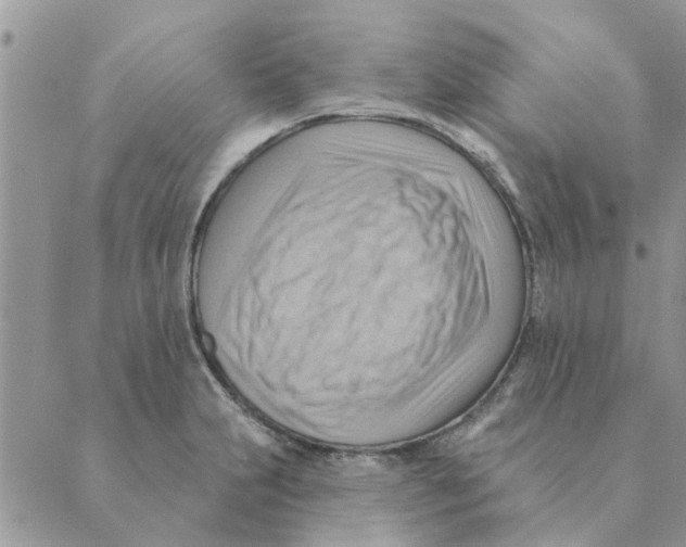 X0000088831231200707051414