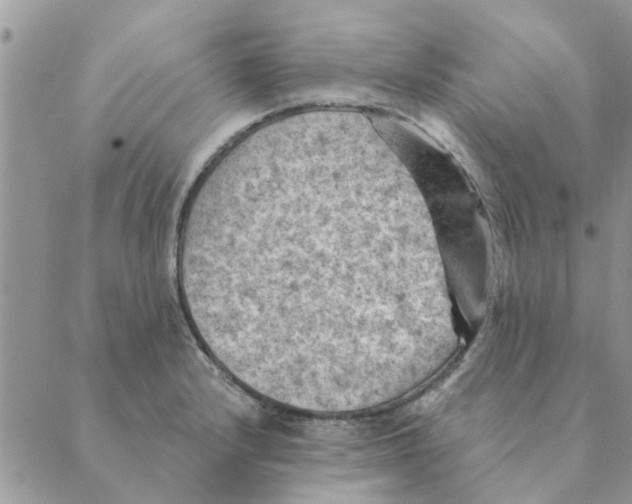 X0000088831232200707051414