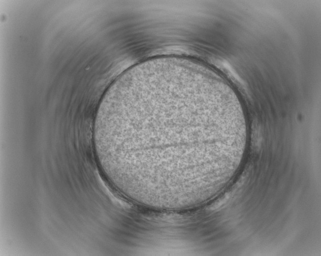 X0000088831233200707051414