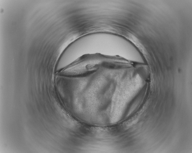 X0000088831234200707051414