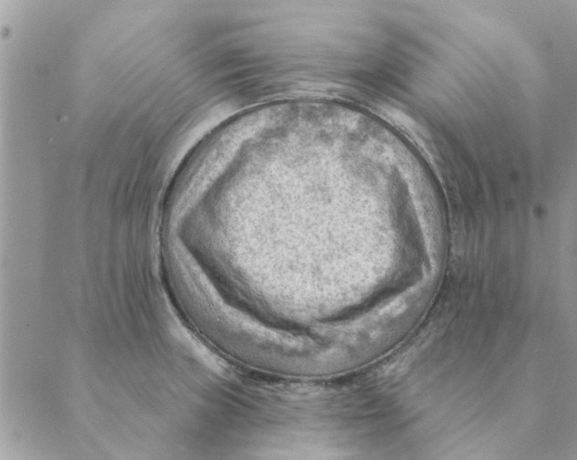 X0000088831235200707051414