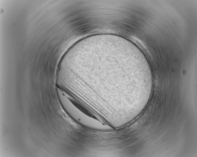 X0000088831236200707051414