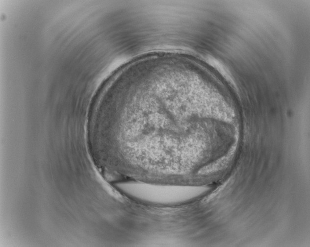 X0000088831237200707051414