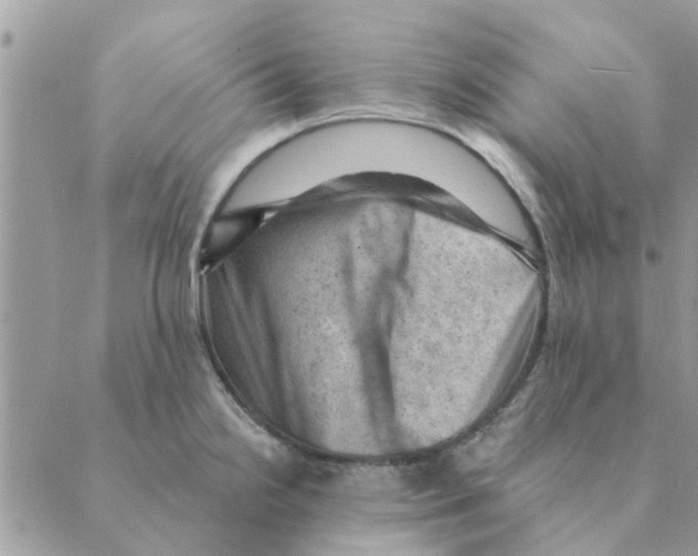 X0000088831238200707051414