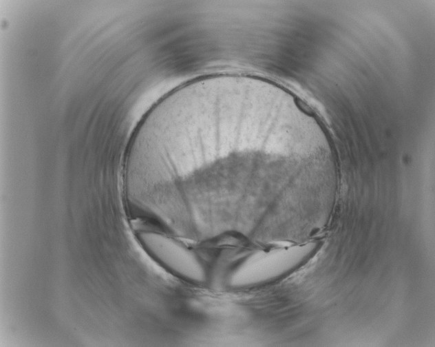 X0000088831239200707051414