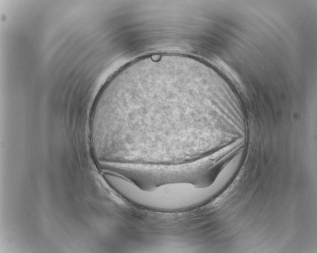 X0000088831240200707051414