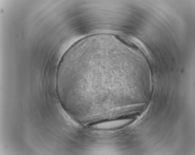 X0000088831244200707051414