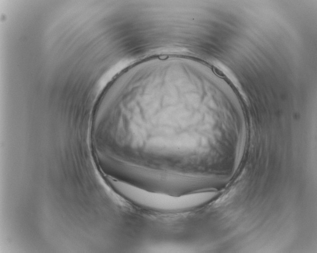 X0000088831245200707051414