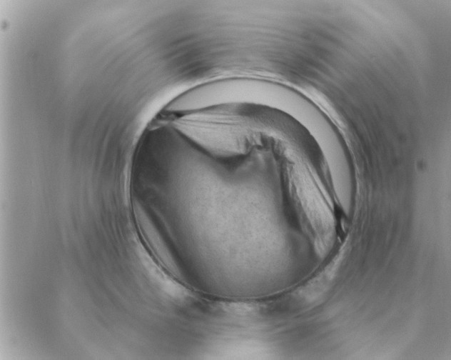 X0000088831246200707051414