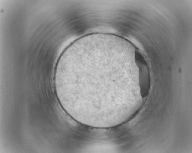 X0000088831248200707051414