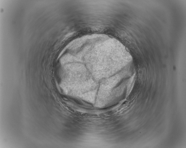 X0000088831249200707051413