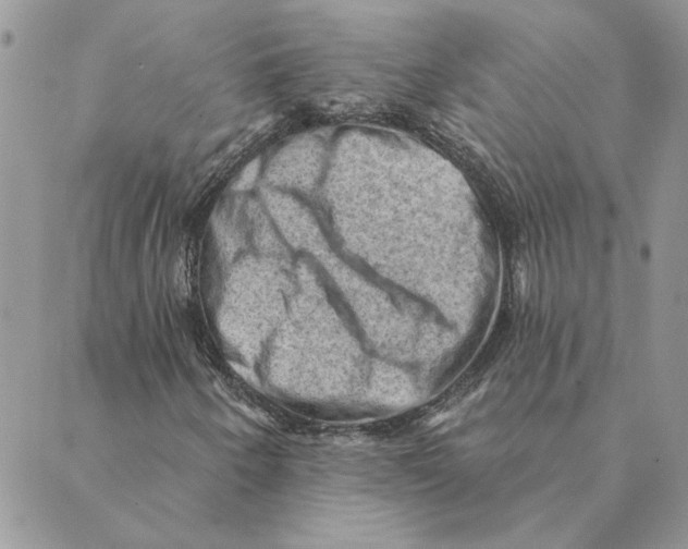 X0000088831250200707051413