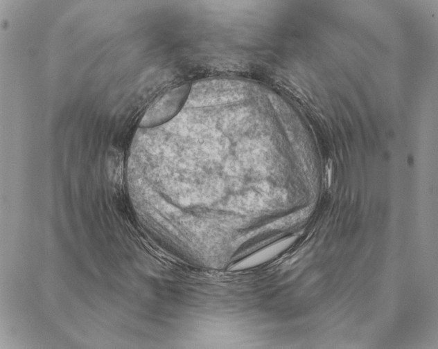 X0000088831251200707051413