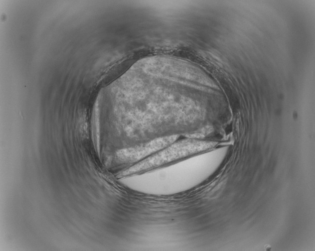 X0000088831252200707051413