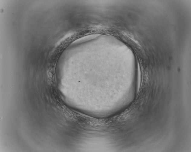 X0000088831254200707051413