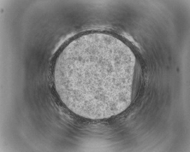 X0000088831256200707051413