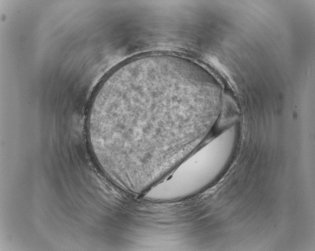 X0000088831260200707051413